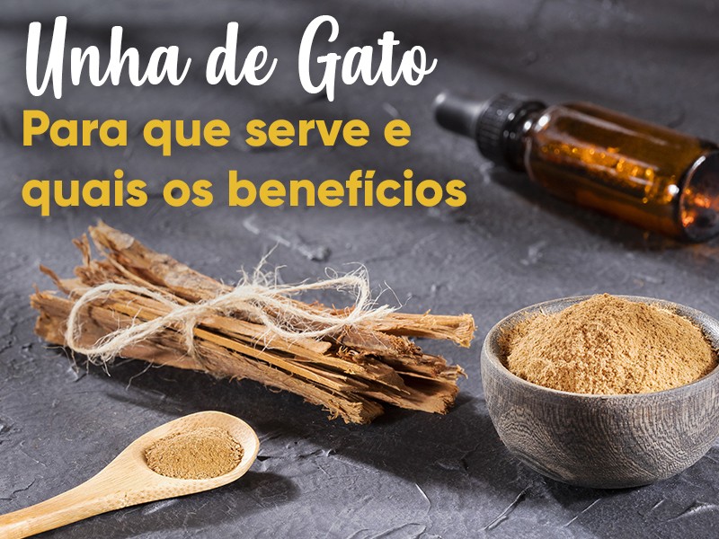 Unha de gato: Para que serve e quais os benefcios dessa planta medicinal?